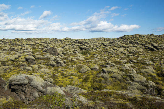 Landscape with lava field covered with moss, blue cloudy sky, Iceland