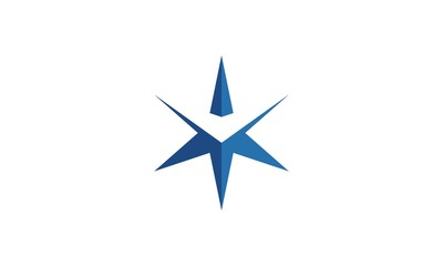 abstract star company logo