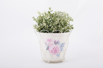 Homemade potted plant with patterns