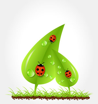 Green leaves with ladybugs and dew grey background. Vector ecology concept. EPS 10.