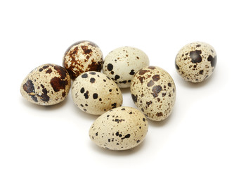Fototapeta premium Quail egg isolated on white background