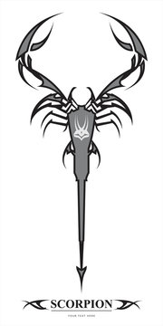 Scorpion. Black Grey scorpion over white background.