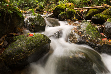 water flowing over rocks at a little falls