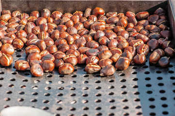 Grilling Chestnuts