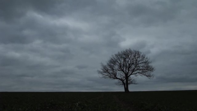 dunkle Wolken ziehen &uuml;ber einen Baum in der Landschaft - Zeitraffer - Timelapse