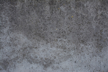 Fototapeta premium Old concrete with decal and moss