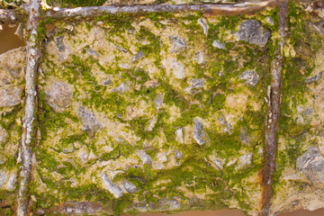 Old concrete with decal and moss