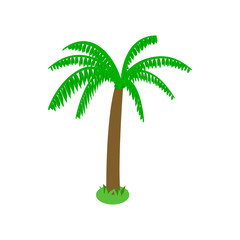 Palm tree icon, isometric 3d style