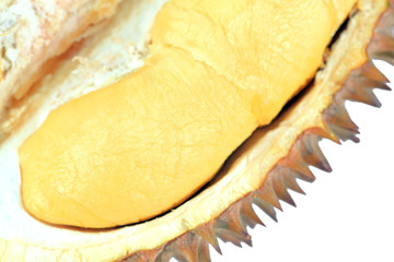 Durian isolated on white background