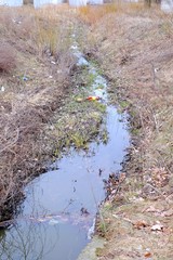 Rubbish in the creek