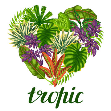 Tropical paradise card with stylized plants and leaves. Image for advertising booklets, banners, flayers