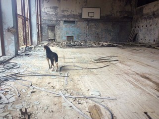 The Abandoned City of Pripyat near Chernobyl 