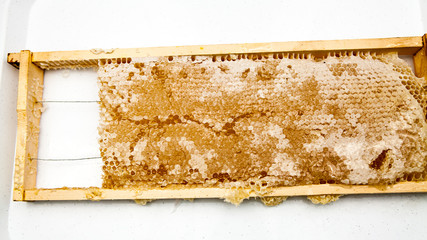 Honeycomb filled with honey - details