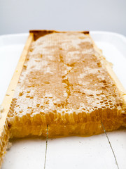 Honeycomb filled with honey - details