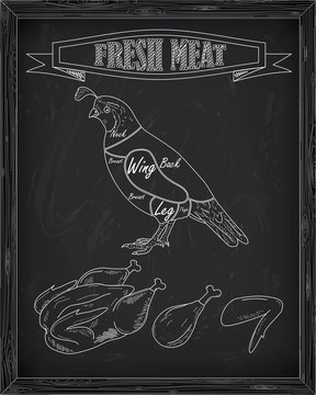 beautiful fresh quail and meat