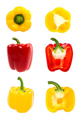 isolated yellow and red composition set isolated on white