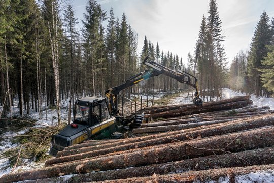 Forestry. Logger loads timber in winter woods