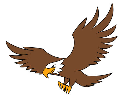 Flying eagle illustration