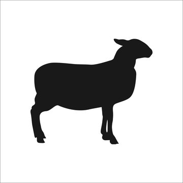 Sheep silhouette simple icon on white   background