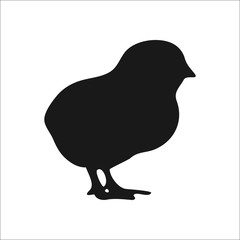Chick silhouette simple icon on  background