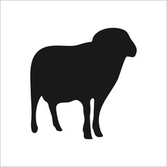 Sheep silhouette simple icon on white   background