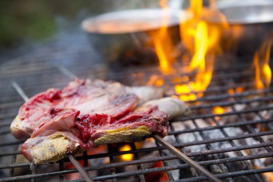 A spatchcocked game bird on skewers being roasted over an open fire. 
