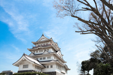 千葉城と桜