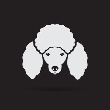 Vector Image Of An Dog Poodle Face On A Black Background