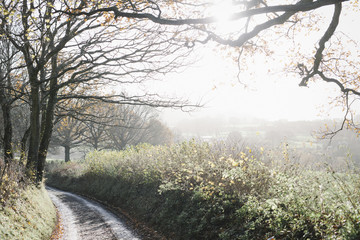 A country lane in winter. 