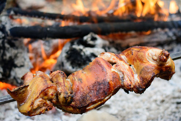 Roasted pig