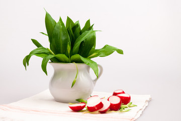 Still life composition with bear's garlic (Allium Ursinum) leaves and buds and radishes