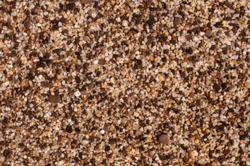 Background of sea stones under water