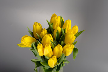 Flower bouquet from yellow tulips in vase isolated on gray backg