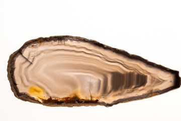 Agate- beautiful, colorful slices and texture