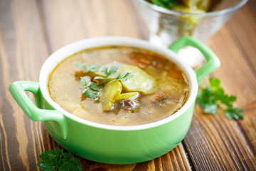soup with pickled cucumbers on the plate