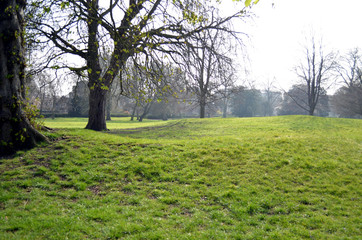 landscape in regent's park london