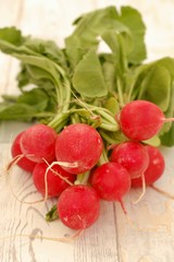 Radishes on the wooden background