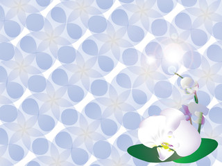 Abstract geometric oval blue  - white background with flower