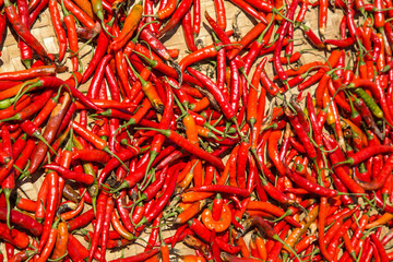 Hot chilli peppers