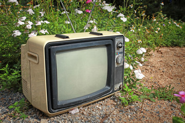 retro tv on on flower field