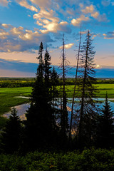 sunset lake trees