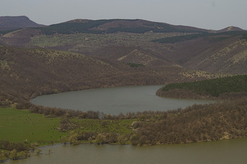 Lake and pasture for cows within the range of hills covered by forests