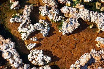 Valley of hot springs near Hveragerdi, hot spring closeup, Iceland