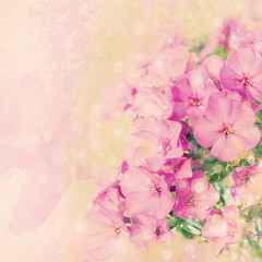 Nature Background. Flowers Background. Pink Background