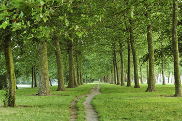 Fototapeta na wymiar Path in a park of Caen