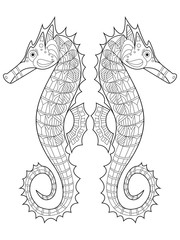 Sea horse coloring vector for adults