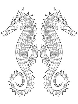 Sea horse coloring vector for adults