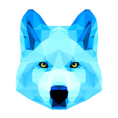 Obraz premium Abstract polygonal geometric triangle bright blue wolf portrait