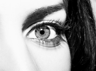 Woman eye with extremely long eyelashes