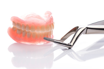 Teeth model with forceps on white background